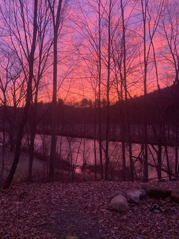 Vivid pink sunset over the Battenkill River through bare trees