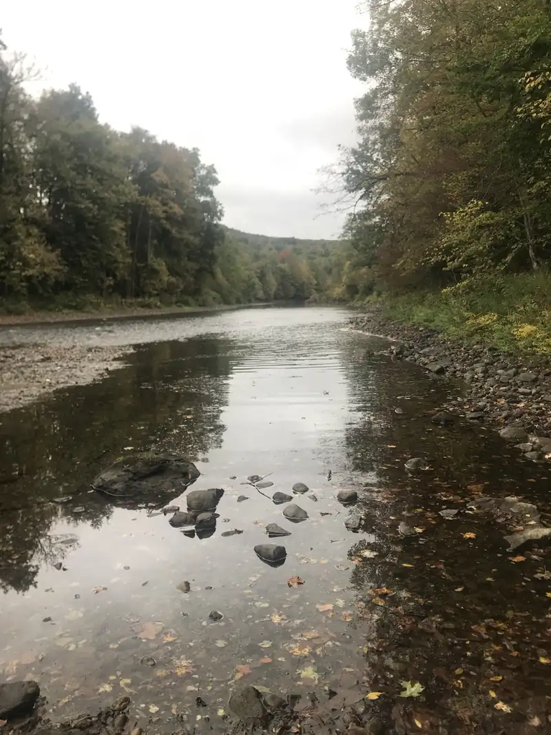 The Battenkill River running shallow and clear over smooth rocks, between tree-lined banks
