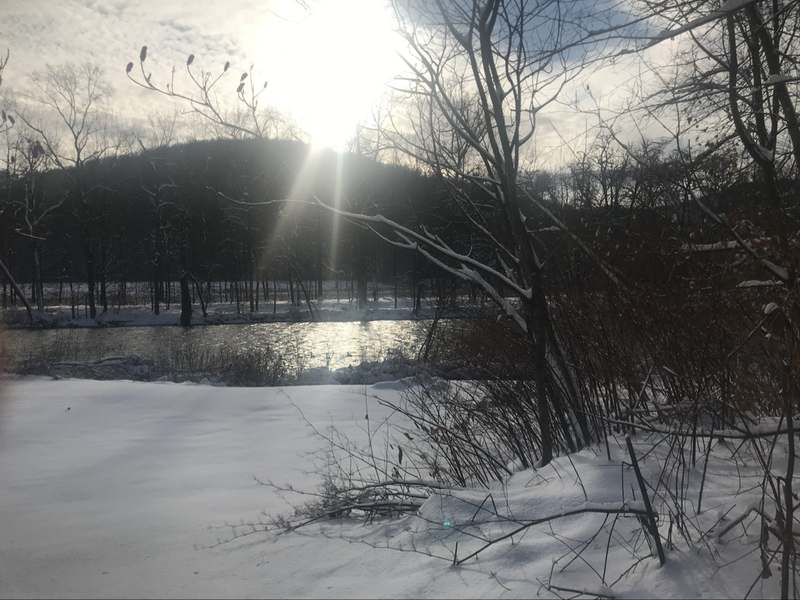 The Battenkill River in winter — sun sparkling on the water between snow-covered banks