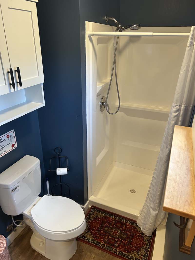 Tiny house bathroom with a white shower, toilet, navy walls, and a red patterned rug